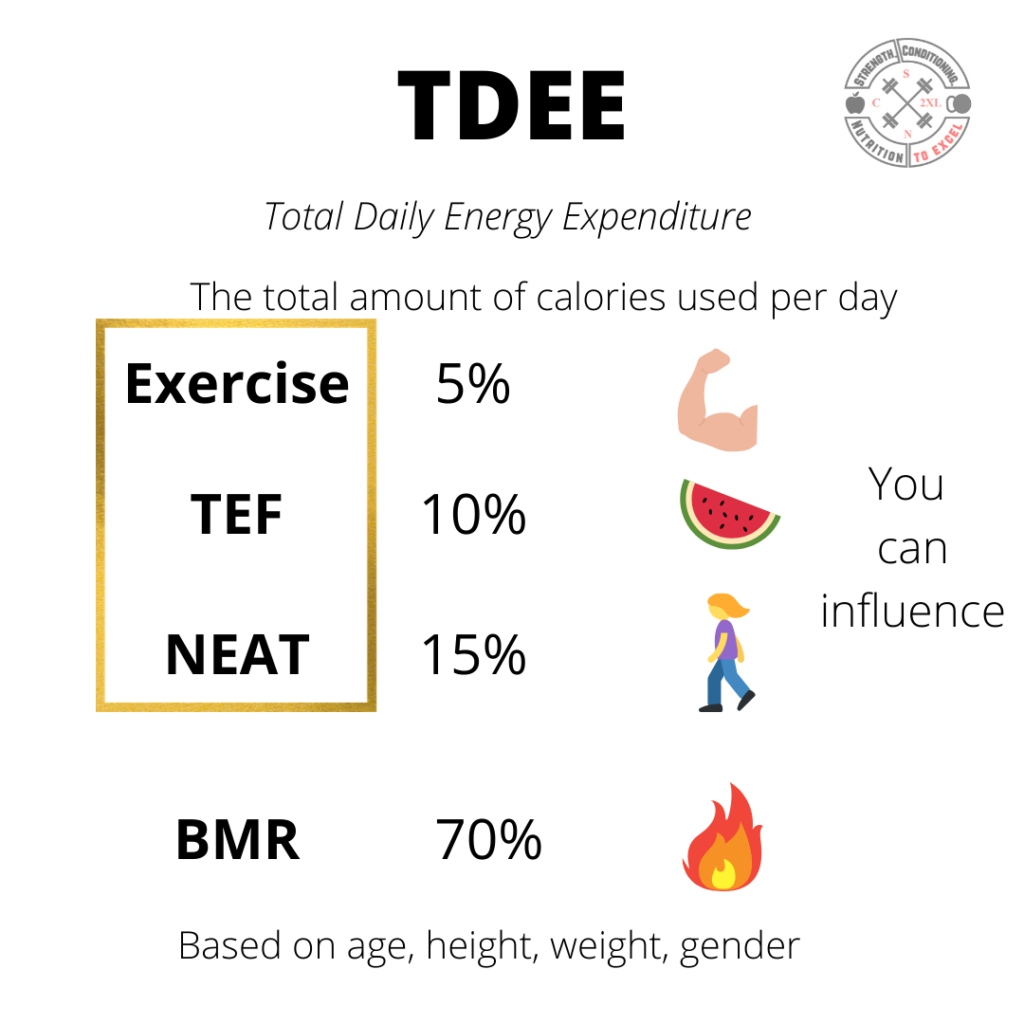 Dietitian - metabolism